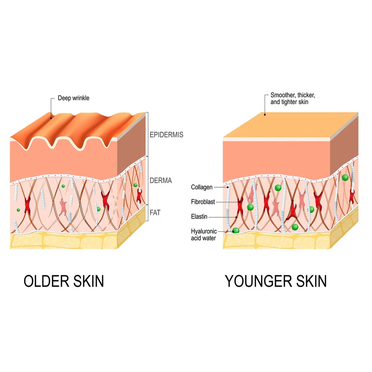 anti Wrinkle Serum Anti-Aging anti Dark Circles Removal Forehead Lines Face Care Frown Lines Repair Facial Essence 30Ml