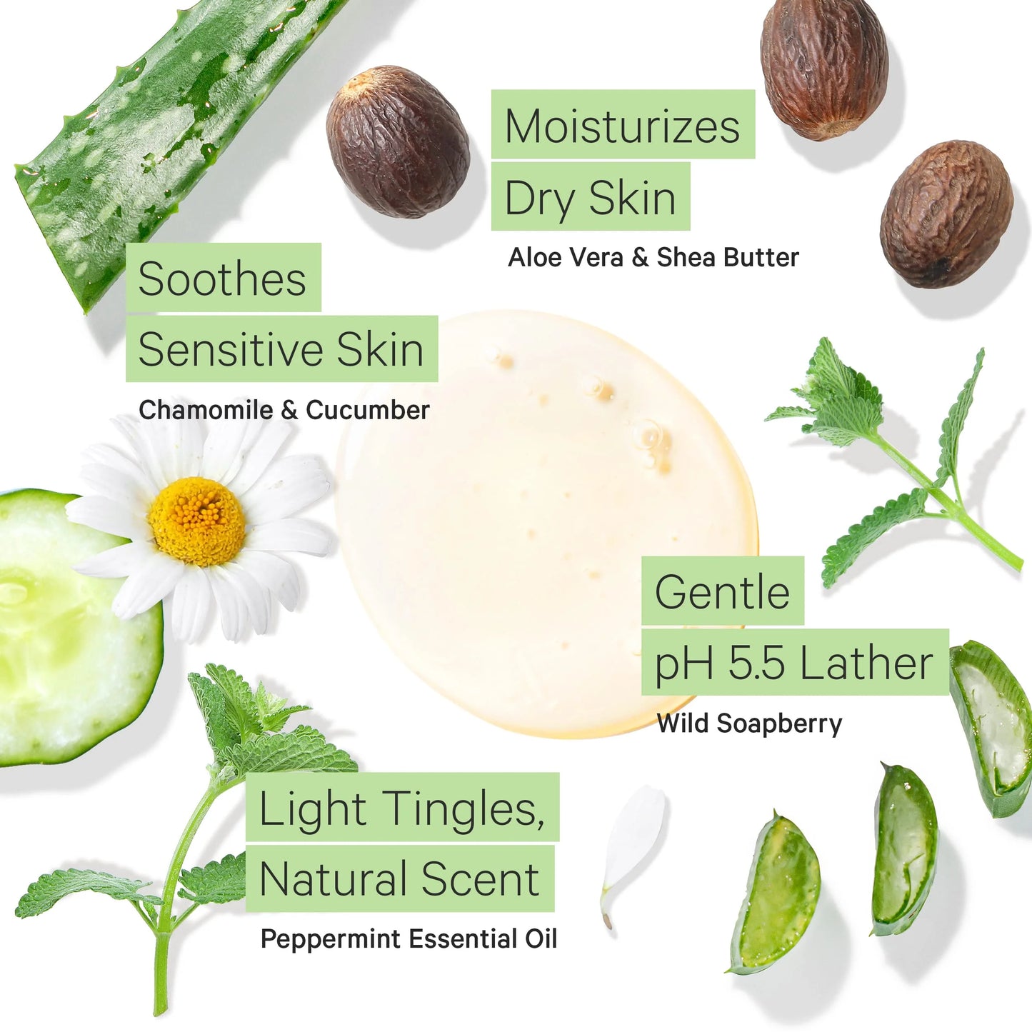 Peppermint Body Wash for Sensitive Skin and Dry Skin - Ph Balanced, Hydrating, Sulfate Free, Vegan Body Soap with Organic Aloe Vera